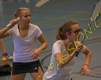 1BULLMINTON - 0459